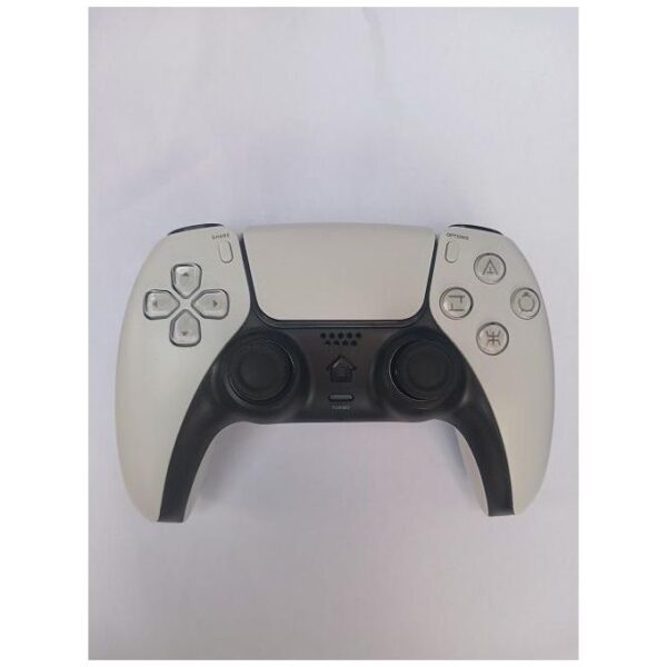 Play PS4 WIRELESS CONTROLLER GAME PAD