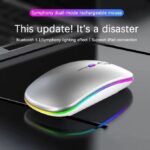 Timack Wireless RGB Mouse 2.4G Ergonomic Optical Mouse, Computer Mouse for Laptop, PC, Computer,