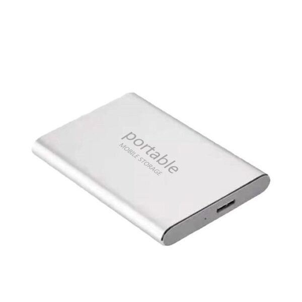 500GB Portable USB 3.1 SSD External Mobile Hard Drive - Silver