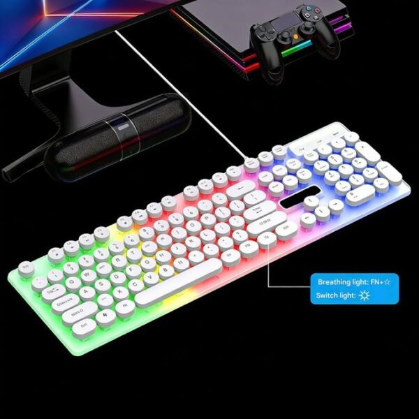 OIPETLUCK Typewriter Style Wired Keyboard, Rainbow LED Backlit, Round Keys, Anti-ghosting, Spill Resistant, Light Up USB Wired Retro 104 Keys for Office/Gaming, White